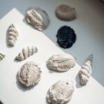 Warsztat   „Tajemnice prehistorycznych ptaków: Od skamieniałości do modelu” 29.05.2025 grupy 2,4,6 cz. II Warsztat   „Tajemnice prehistorycznych ptaków: Od skamieniałości do modelu” 29.05.2025 grupy 2,4,6 cz. II