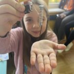 Domowa apteczka / Przyciągające warsztaty 08.11.2025 r.